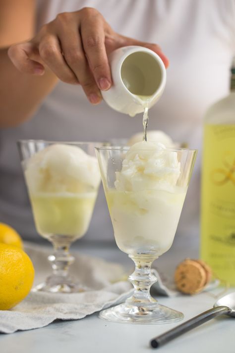 Lemon Curd Dessert, Limoncello Cocktails, Lemon Sorbet, Boozy Desserts, Cocktail Desserts, Summer Gathering, Cocktail Drinks Recipes, Alcohol Drink Recipes, Drinks Alcohol Recipes