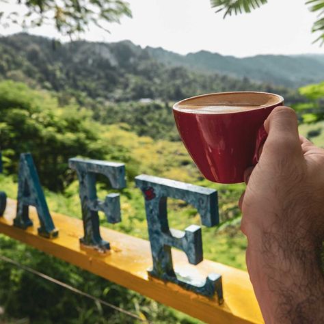 Museo del Café de Puerto Rico | Discover Puerto Rico Coffee Museum, Puerto Rico Coffee, Visit Puerto Rico, Puerto Rican Coffee, Puerto Rico Trip, Speciality Coffee, Puerto Rican, Coffee House, Best Coffee