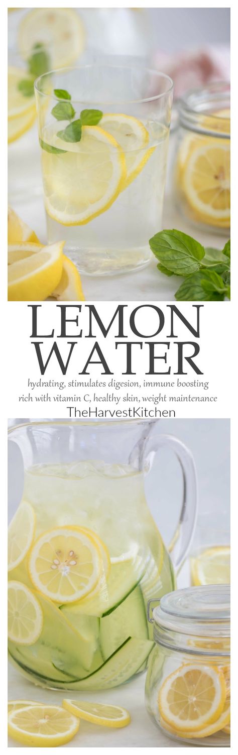 Lemon water is rich with vitamin C, antioxidants and anti-inflammatory benefits, and helps to improve the overall health of your immune system. #howtomakelemonwater #healthydrinks #water #lemons Lemon Water Pitcher, Lemon Water Recipe, Lemon Water Health Benefits, Boil Lemons, Lemon In Water, Lemon Juice Benefits, Benefits Of Lemon Water, Hot Lemon Water, Harvest Kitchen