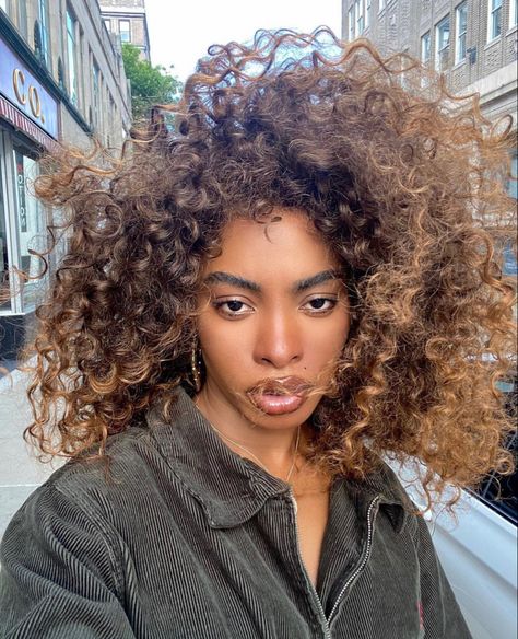 Dyed Curly Hair, Highlights Curly Hair, Honey Brown Hair, Brown Curly Hair, Colored Curly Hair, Dyed Natural Hair, Honey Hair, Hairdos For Curly Hair, Peinados Fáciles Para Cabello Corto