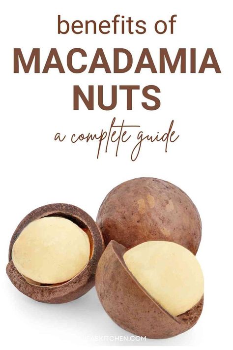 A delightful image capturing the buttery goodness of macadamia nuts, arranged in a visually appealing display. Macadamia Nut Benefits, Nut Benefits, Mind Diet, Nut Recipes, Nutrient Rich Foods, Macadamia Nuts, Culinary Skills, Food Source, Wholesome Food