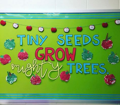 🍎 🍏 Tiny seeds grow MIGHTY trees. 🍎🍏 Does anyone start the year off with a back to school apple theme!? @buggyaboutkinder used… Tiny Seeds Grow Mighty Trees, Apple Bulletin Boards, Daycare Bulletin Boards, September Bulletin Boards, Toddler Bulletin Boards, School Bulletin Board Ideas, Bulletin Board Tree, Classroom Tree, Kindergarten Bulletin Boards