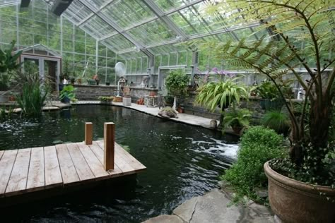 2 Floor Greenhouse, Home Aviary, Pond In Greenhouse, Greenhouse Pond, Pool Greenhouse, Murals On Walls, Winter Garden Florida, Earthship Home, Backyard Greenhouse