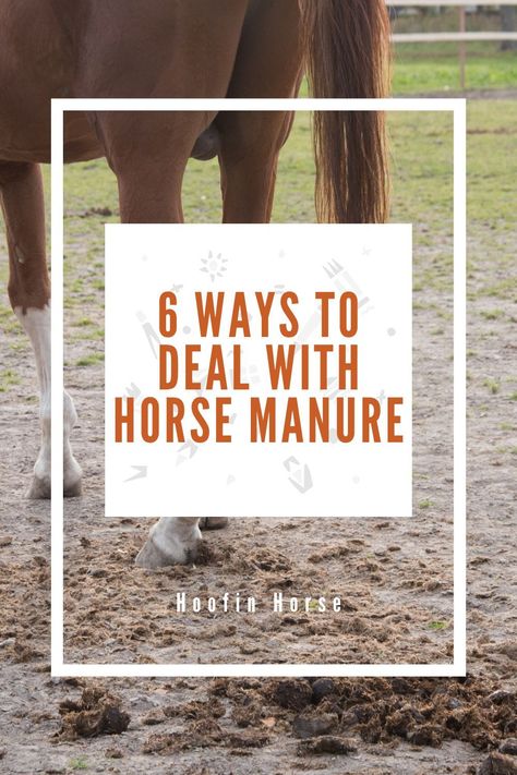 Let’s face it; if you have more than one horse, you get many pounds of manure in a day, right? But what can you do with a load of horse waste? Here, we’ll take you through what to do with horse manure to help you in the excellent management of your farm. https://www.hoofinhorse.com/what-to-do-with-horse-manure/ Horse Manure Management, Horse Guide, Manure Composting, Manure Management, Horse Grooming Kit, Horse Riding Shirt, Horse Riding Helmets, Horse Manure, Concrete Pad