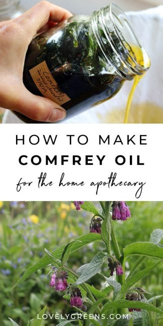 Comfrey Oil, Comfrey Salve, Lovely Greens, Salve Recipes, Plant Medicine, Herbal Recipes, Herbal Apothecary, Natural Healing Remedies, Herbal Healing