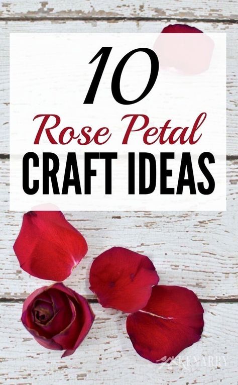 What great ideas to use rose petals from Valentine's Day, a wedding or an anniversary to create crafts, gifts or special keepsakes! These 10 rose petal craft ideas using dried rose petals would work with other flowers too. Rose Petal Crafts, Dry Rose Petals Crafts, Rose Petals Craft, Rose Petal Uses, Pressed Roses, Fake Rose Petals, Rose Petal Beads, Flower Petal Art, Dried Flowers Diy