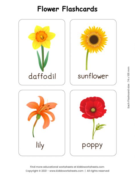 Spring Flashcards Free Printable, Free Printable Flower Pictures, Flower Flashcards, Flowers Worksheet, Free Printable Flowers, Teaching Safety, Food Flashcards, Plants Worksheets, Different Kinds Of Flowers