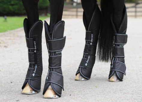 Ariat Ankle Boots, Ariat Riding Boots, Travel Boots, Horse Gear, Leather Halter, Country Boots, Horse Boots, Horse Supplies, Riding Gloves