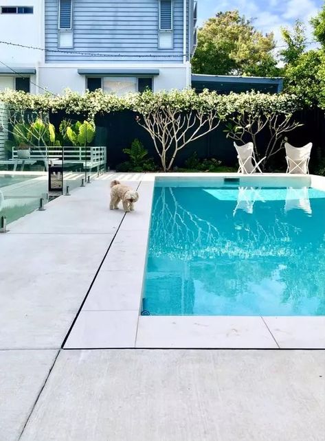 a modern sleek outdoor space with a plunge pool, a neutral stone deck, neutral butterfly chairs and greenery around Swimming Pool Concrete Surround, White Concrete Pool Surround, White Concrete Around Pool, Pools With Concrete Surround, Pool Landscaping Concrete, Pool With Concrete Decking, White Concrete Pool Deck, Pool With Concrete Surround, White Pool Area