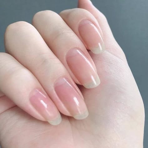 Long Nail Beds, Long Natural Nails, Hello Nails, Blush Nails, Pretty Gel Nails, Really Cute Nails, Healthy Nails, Dream Nails, Exotic Flowers