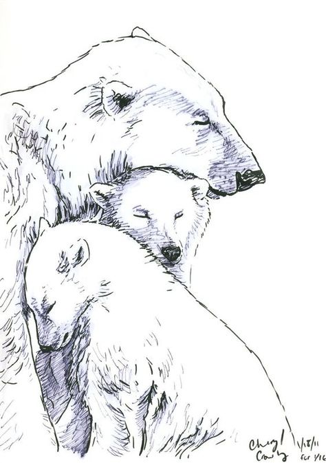 Mama bear and her babies ❤️ Polar Bear Sketch, Polar Bear Tattoo, Polar Bear Drawing, Cubs Tattoo, Bear Sketch, Polar Bear Art, Baby Animal Drawings, Bear Tattoos, Drawing Eyes