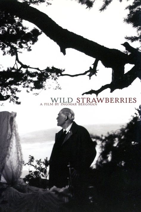 Wild Strawberries is a drama that follows 78-year-old Professor Isak Borg, who after 50 years of work is preparing to receive his doctorate from Lund University. Plagued by strange dreams, Borg takes the time to introspect and reflect on his long life. The original Swedish title is Smultronstället, which literally means "the wild strawberry patch" but idiomatically signifies a hidden gem of a place, often with personal or sentimental value, and not widely known. Top Rated Movies, The Criterion Collection, Ingmar Bergman, Foreign Film, Wild Strawberries, Movies 2019, Great Films, Tv Shows Online, Hd Movies