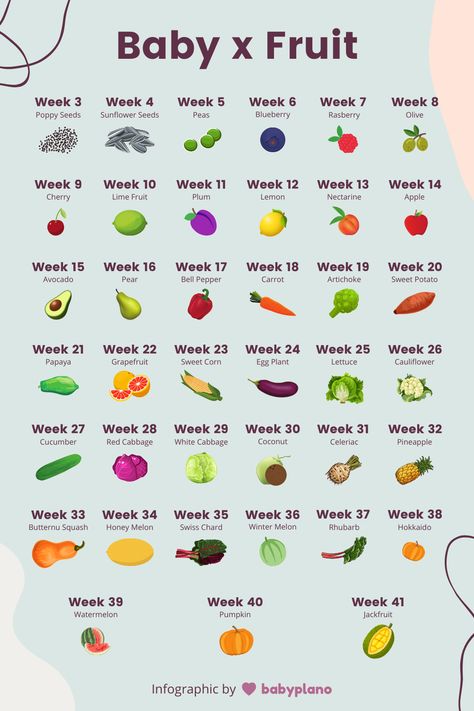 Use this fun infographic to compare your baby's size when pregnant to fruit and vegetablesNot only is it funbut it is also actually really helpfulbecause it gives you a much better understanding of what is going on in your uterus during pregnancyCompare your fetus size to fruit with this fun infographic from BabyplanoEvery size comparison from week 3 to week 41if you get that far in your pregnancy. Fruit For Fertility, Baby Sizes By Week, Pregnancy Chart Weeks, Baby Size By Week Funny, Pregnancy Fruit Chart, Baby Size By Week Fruit, Best Fruits For Pregnancy, Size Of Baby Week By Week, Baby Size Chart By Week