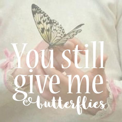 You still give me butterflies I Still Get Butterflies Quotes, You Still Give Me Butterflies, You Still Give Me Butterflies Quotes, You Give Me Butterflies Quotes, Butterfly Love Quotes, Butter Quotes, Butterflies Quotes, Wedding Meaning, Husband And Wife Quotes