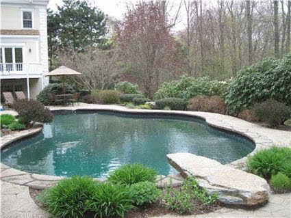 Beautiful pool and love the stone diving board Rock Diving Board, Pool Diving Rock, Diving Board Ideas, Pool Upgrades, Pool With Diving Board, Awesome Pools, Luxury Pools Indoor, Chic Backyard, Pool Landscape Ideas