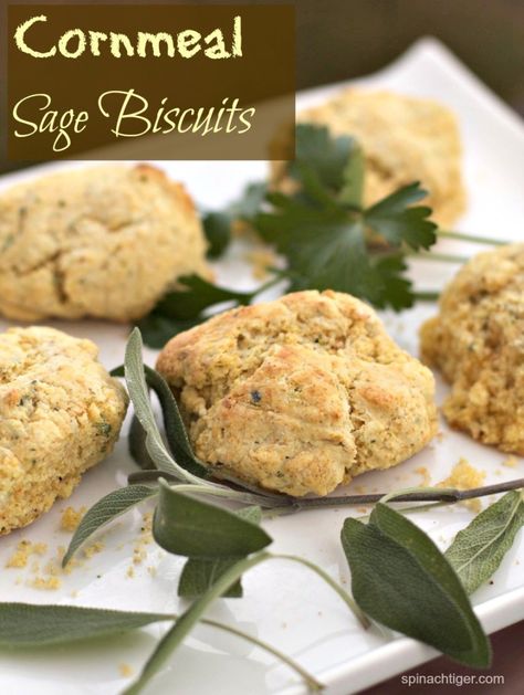 Recipe for Sage Cornmeal Biscuits with Video Sage Cornbread, Cornmeal Biscuits, Cornbread Biscuits, Bread Dressing, Beautiful Bread, Fluffy Biscuits, Toast In The Oven, Savory Pies, Cornbread Dressing