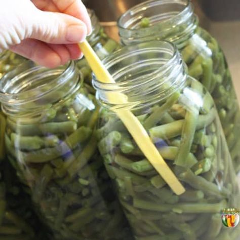 Dehydrated Green Beans, Pressure Canning Green Beans, Preserving Green Beans, Green Beans Easy, Canning Green Beans, High Acid Foods, Canning Tomatoes Recipes, Dilly Beans, Pressure Canning Recipes