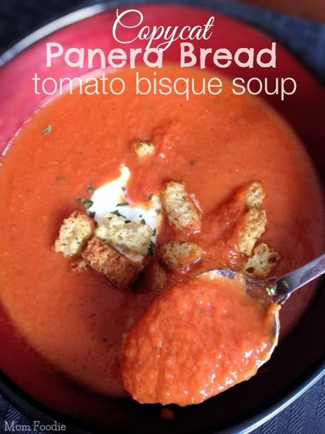 Copycat Panera Tomato Soup - Tomato Bisque Soup Panera Bread Tomato Soup Recipe, Tomato Bisque Soup Recipe, Panera Tomato Soup, Panera Tomato Soup Recipe, Copycat Panera Bread, Tomato Bisque Soup, Bisque Soup Recipes, Copycat Panera, Bisque Soup