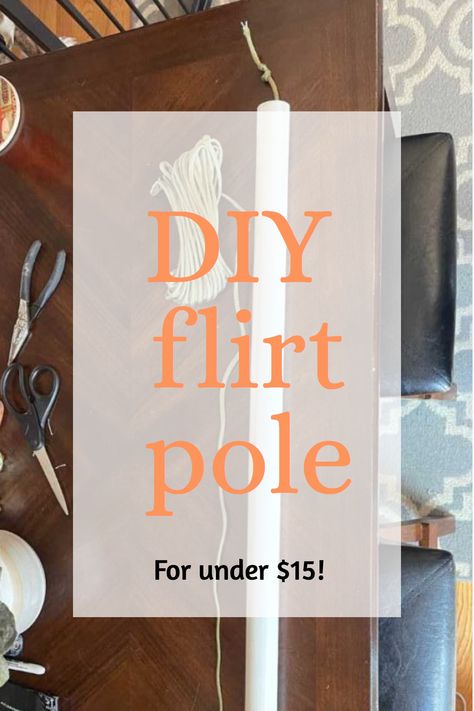 Want to learn how to make a DIY flirt pole for your dog? In our guide, we'll take you through it in 3 easy steps. Your dog will love this cheap enrichment idea! Dog Flirt Pole Diy, Flirt Pole For Dogs Diy, Dog Stimulation Diy Ideas, Diy Dog Enrichment, Dog Enrichment Ideas, Canine Enrichment, Enrichment Projects, Diy Loft, Outdoor Dog Toys