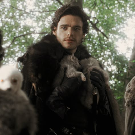 Robb Stark Aesthetic, Rob Stark, Stark Oc, Medieval Royalty, Game Of Thrones Images, Celebrity Wall, Alyssa Targaryen, My Book Aesthetic, Got Cast