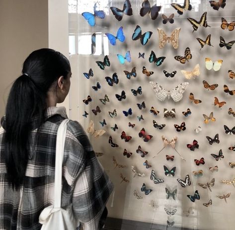 Social Butterfly Aesthetic, Phoebe Aesthetic, Butterfly Museum, Hockey Romance, Lover Aesthetic, Butterfly Aesthetic, Museum Aesthetic, Butterfly Books, Aesthetic City