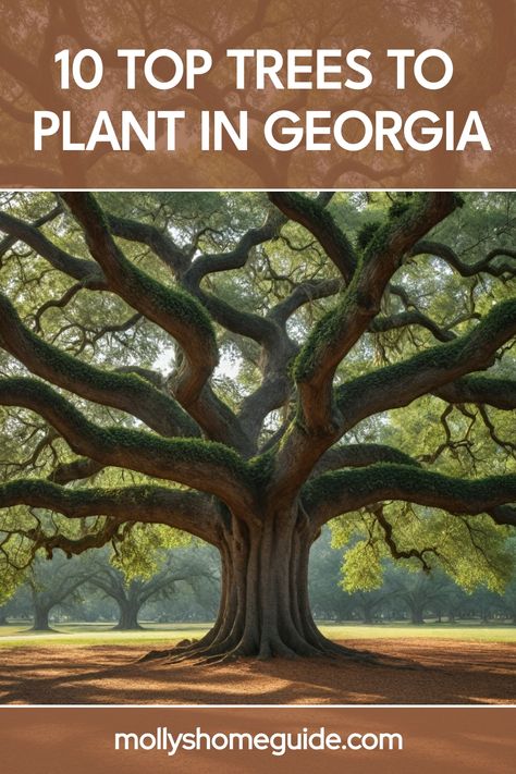 Discover the best trees to plant in Georgia for a thriving landscape. Whether you prefer evergreen or deciduous trees, Georgia native trees offer beauty and functionality. From iconic Southern magnolias to vibrant dogwoods, explore the top choices for planting trees in Georgia. Enhance your outdoor space with these best trees that are suited for Georgia's unique climate and soil conditions. Dogwood Tree Landscaping, Eastern Redbud, Pecan Tree, Southern Magnolia, Planting Trees, Thriving Garden, Pink And White Flowers, Evergreen Trees, How To Grow Taller