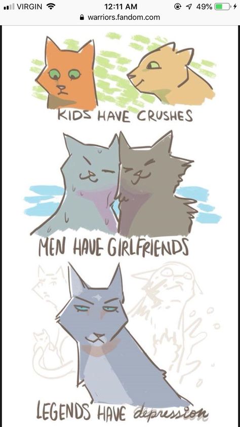 Warrior Cats Fanart, Warriors Memes, Cat Warriors, Warrior Cats Funny, Warrior Cat Memes, Warrior Cats Comics, Battle Cats, Warrior Cats Series, Warrior Cats Books