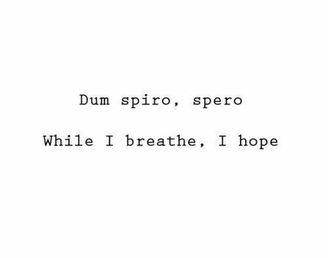 Dum Spiro, Spero On To Better Things, Dum Spiro Spero, Definition Quotes, Latin Quotes, Come Back To Me, Latin Phrases, Small Quotes, Princess Core, Better Things