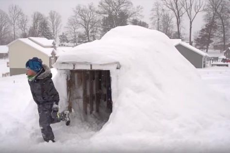 Pallet Snow Fort, Igloo Diy, Pergola Addition, Pallet Fort, Pallet Pergola, Ice Skating Pond, Ice Igloo, Pallet Garden Benches, Pallet Kids