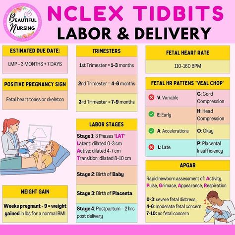 Iv Piggyback Nursing, Labor And Delivery Surgical Tech, Maternal Newborn Nursing Notes, Labor And Delivery Nurse Notes, L&d Nurse, Maternity Nursing Study, Nursing Ob, Maternal Nursing, Beautiful Nursing