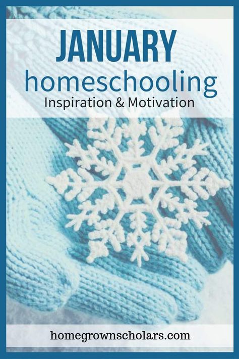 Are you ready for your January homeschooling to feel inspiring and motivating? Take the time to reflect, dream, create, and connect for a strong foundation! Homeschooling Organization, Homeschooling Activities, Homeschool Encouragement, Throw In The Towel, Feeling Frustrated, Homeschool Organization, Frame Of Mind, Seasons Of Life, School Lessons