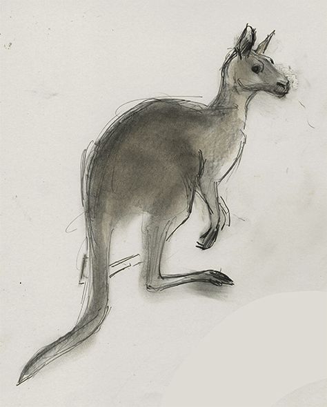 Kangaroo by Julian Williams Drawing and Illusion: Beautiful Budapest Watercolor Kangaroo, Australian Native Animals Drawing, Kangaroo Sketch, Kangaroo Drawing, Kangaroo Illustration, Kangaroo Art, Australian Fauna, Ear Art, Animal Crossing Funny