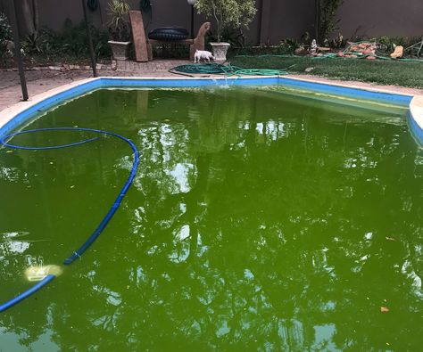 Above Ground Pool Cleaning Hacks, Clean Green Pool, Cleaning Above Ground Pool, Green Pool Water, Marble Pool, Outdoor Therapy, Plastic Swimming Pool, Patio Plan, Pool Cleaning Tips