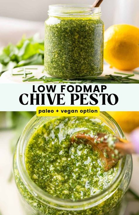 Fresh, bright and incredibly satisfying - you won't be missing the garlic in this low FODMAP pesto recipe thanks to the fresh chives! Blend together in minutes then enjoy in pastas, pizzas, sandwiches and more! Check the recipe notes for suggestions on how to keep this pesto vegan and paleo friendly. Low Fodmap Pesto, Chive Pesto, Fodmap Recipes Dinner, Low Fodmap Recipes Dinner, Basil Pesto Pasta, Fodmap Friendly Recipes, Pesto Vegan, Low Fodmap Diet Recipes, Fodmap Diet Recipes