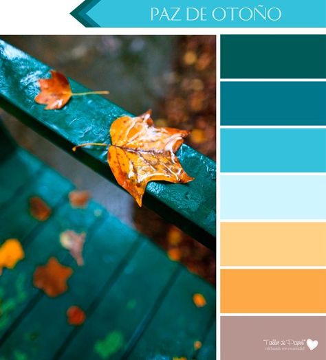 6 Paletas de Color para Otoño, porque el Otoño también tiene un Arco Iris de Colores hermosos! Color Schemes Colour Palettes, Design Seeds, Color Palette Design, Color Inspo, Colour Schemes, Color Pallets, Color Swatches, Room Colors, Color Theory