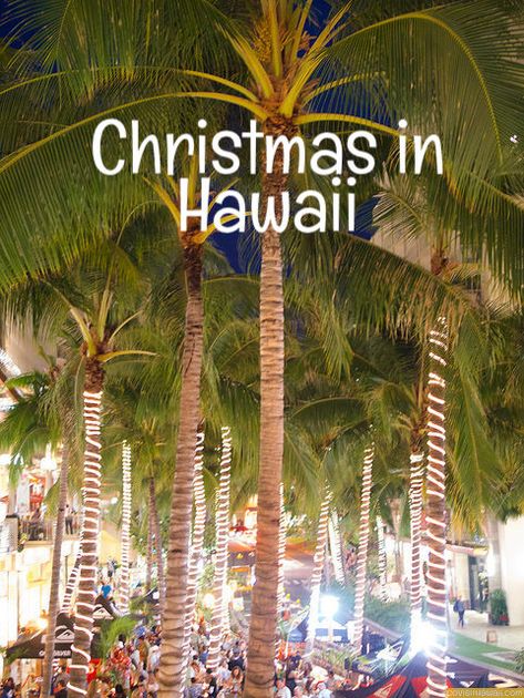 Christmas In Hawaii, Vacation To Hawaii, Honolulu City, Island Twist, Maui Hawaii Vacation, Hawaii Christmas, Hawaiian Party Decorations, Polynesian Islands, Hawaiian Christmas