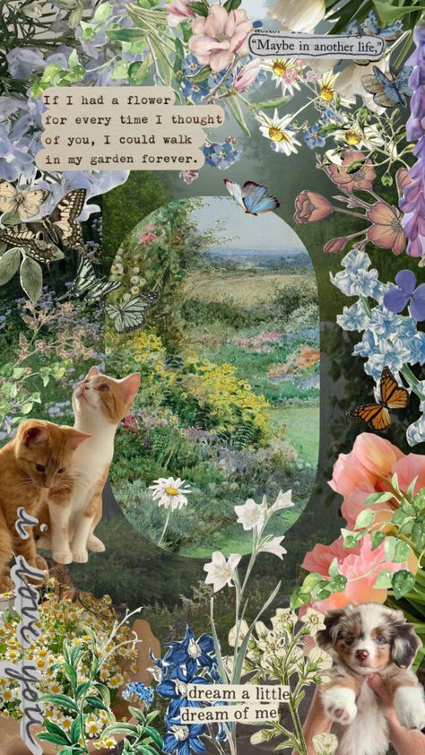 #collage #garden #aestheitc #pretty #fyp Garden Collage Art, Spring Collage, Garden Collage, Floral Collage Wallpaper, Cottage Core Aesthetic Collage, Cottagecore Aesthetic Collage, Healing Garden, Maybe In Another Life, Multimedia Arts