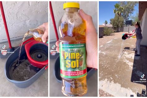 Does Pine-Sol Keep Flies Away? Pinesol For Flies, Pine Sol For Flies, Pine Sol Uses, Pine Sol Hacks, Pine Sol Cleaning, Handyman Hacks, Pine Sol, Pine Oil, Fly Repellant