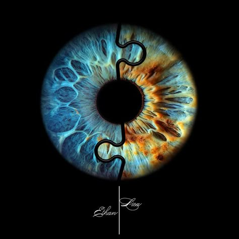 Eye Photography Prices | Iris Photo prices | Eye Photography Artwork Iris Art Eye, Oeil Photo, Photoshop Eyes, Pretty Eyes Color, Moon Place, Eye Iris, Iris Photography, Iris Eye, Photography Prices