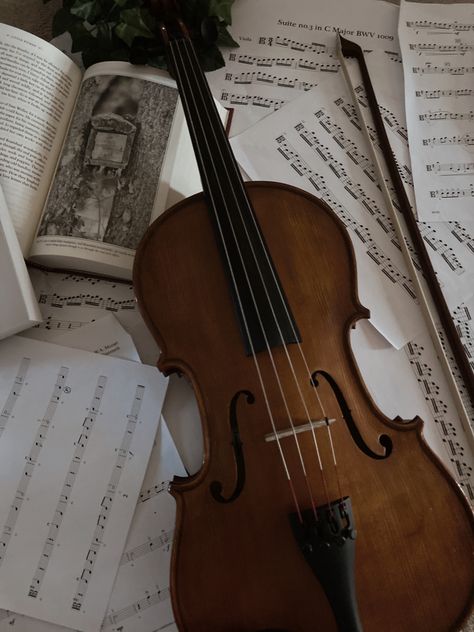 Violin Aesthetic Pictures, Violin Astethic, Violin Aesthetic, Violin Photography, Violin Practice, Violin Design, Aesthetic Light, Violin Music, Soft Girl Aesthetic