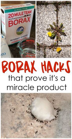 11 borax hacks that prove it's a miracle product! Borax uses, benefits to weeds, ants, etc! Borax Hacks, Borax Uses, Borax Cleaning, Clean Baking Pans, Cleaning Painted Walls, Deep Cleaning Tips, Party Deco, Household Cleaning Tips, Cleaning Recipes