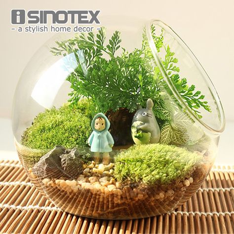 Cheap glass vase flowers, Buy Quality home decor directly from China glass vase Suppliers: 1PCS Oblique Spherical Glass Vase Flower Hydroponic Fleshy Micro Landscape Glass Bottle Moss Home Decoration Open Terrarium Ideas, Crystal Terrarium Diy, Cheap Glass Vases, Terrariums Diy, Crystal Terrarium, Succulents In Glass, Cloche Decor, Landscape Glass, Terrarium Ideas