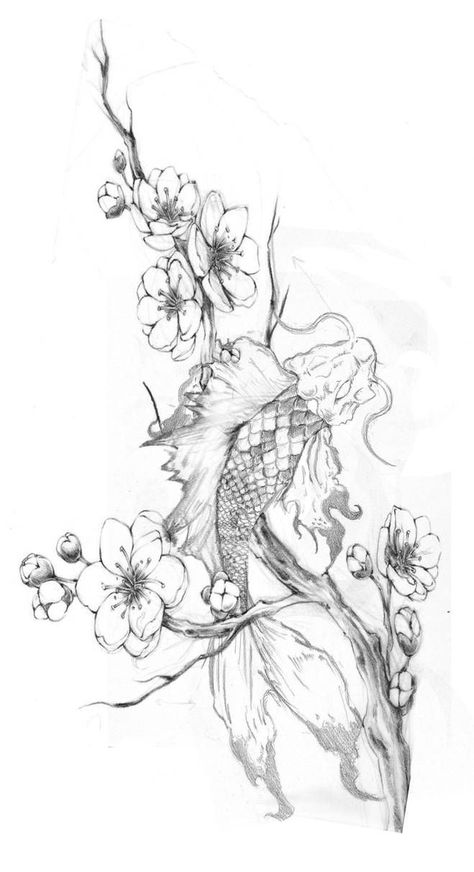 Japanese Koi Fish Tattoo Design Cherry Blossoms, Koi And Sakura Tattoo, Koi Fish Thigh Tattoo Women, Large Koi Fish Tattoo, Koi Fish With Flowers Tattoo, Im Not Ashamed, Koi Tattoo Design, Koi Fish Drawing, Koi Tattoo