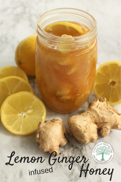 Ginger Lemon Honey Tea, Cough Syrup Recipe, Ginger Honey Lemon, Fermented Honey, Ginger Tea Recipe, Infused Honey, Ginger Honey, Ginger Drink, Fermentation Recipes