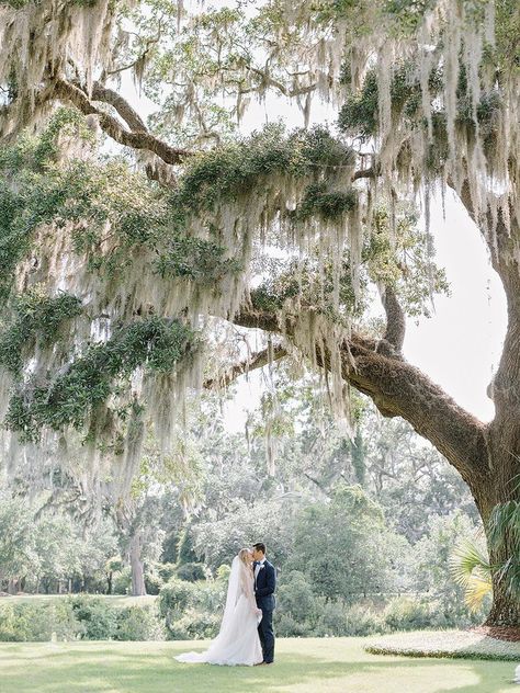 Low Country Wedding Reception, Blue And White Southern Wedding, Low Country Wedding, Willow Tree Wedding, Southern Wedding Venues, Coastal Wedding Venues, Southern Charm Wedding, Baby Blue Weddings, Palmetto Bluff