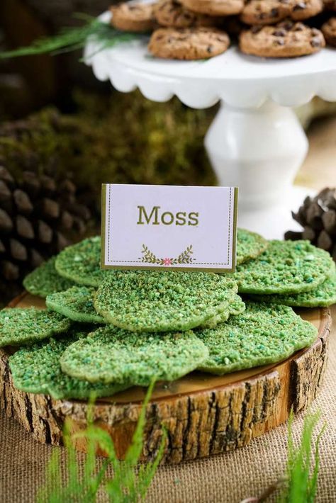 Boho Enchanted Forest Party | CatchMyParty.com                                                                                                                                                      More Fudge Tree Rings Recipe, 1sr Birthday Food Ideas, Woodland Breakfast Party, Crystals Theme Party, Forest Party Food, Masquerade Food, Fox Party Ideas, Forest Party Theme, Party Theme Ideas For Kids