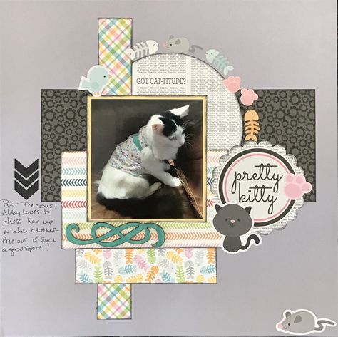 pretty kitty - Scrapbook.com I like the circle of treats. Cat Scrapbook Pages, Dog Scrapbook Layouts, Cat Scrapbook, Pet Scrapbook Layouts, Dog Scrapbook, Pet Scrapbook, Photo Layout, Scrapbook Quotes, Baby Boy Scrapbook