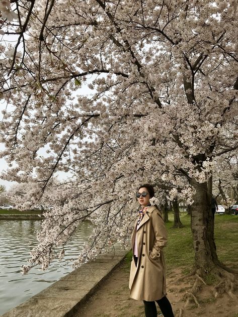 Japan Sakura Season Outfit, Japan Spring Outfit Cherry Blossoms, Cherry Blossom Photoshoot Outfit, Japan Cherry Blossom Outfit, Cherry Blossom Outfit Ideas, Korean Spring Outfit, Blossom Outfit Ideas, Cherry Blossoms In Dc, Cherry Blossom Outfit