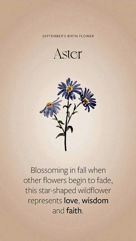 Aster Flower Meaning, Victorian Flower Language, Language Of The Flowers, Flowers And Meanings, Quotes About Flowers, Flowers And Their Meanings, Flowers With Names, Aster Flowers, Flower Dictionary