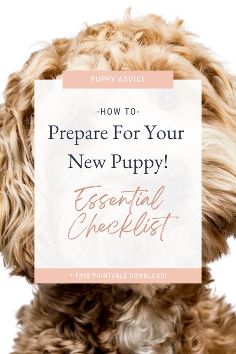 New Puppy Essentials List, Bringing Home Puppy Checklist, Bringing Puppy Home, Dog Starter Kit List, Bringing A Puppy Home, Puppy List New, Puppy Needs Checklist, Puppy Starter Kit List, Puppy Supplies List